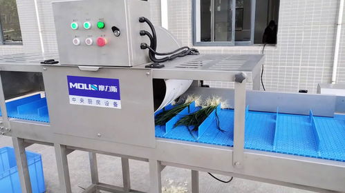 預制菜加工廠蔬菜去根機,香蔥芹菜白菜切根機